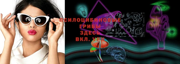 ПСИЛОЦИБИНОВЫЕ ГРИБЫ Белоозёрский