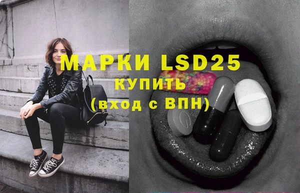 ПСИЛОЦИБИНОВЫЕ ГРИБЫ Белоозёрский