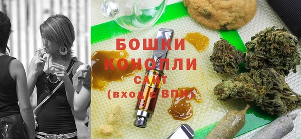 ПСИЛОЦИБИНОВЫЕ ГРИБЫ Белоозёрский