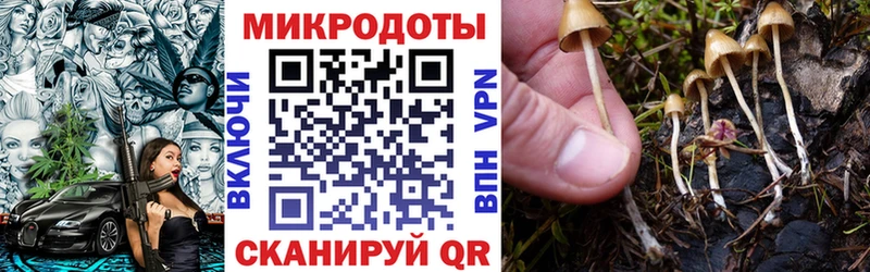 как найти закладки  Шали  Псилоцибиновые грибы MAGIC MUSHROOMS 